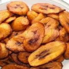 Plantain - Dodo (Tray)
